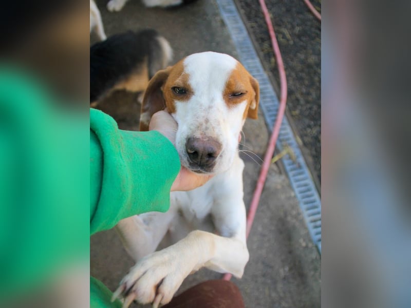 TAKITA lebensfroh, freundlich, für jeden Spaß zu haben