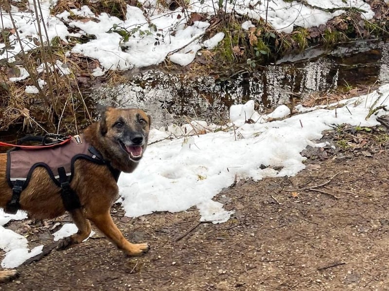 NISHA bezaubernd, liebesbedürftig, wundervoll such nach DIR