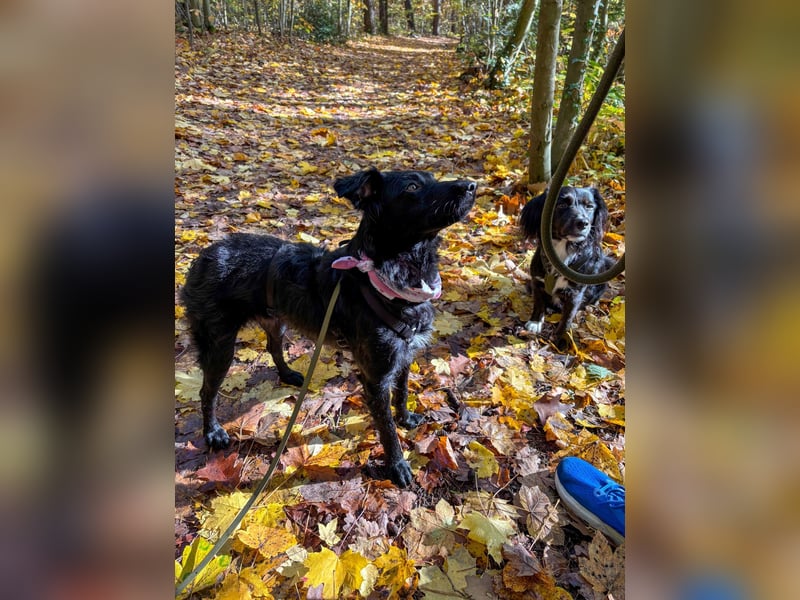 Lebensfrohe DAYA wartet in Erlangen auf DICH