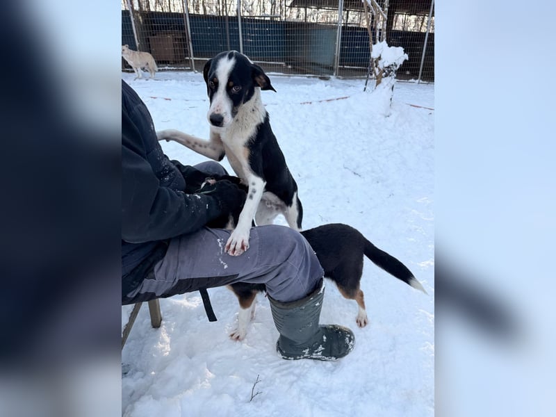 Lebensfroher AURELIO bezaubert durch seine fröhliche und liebe Art