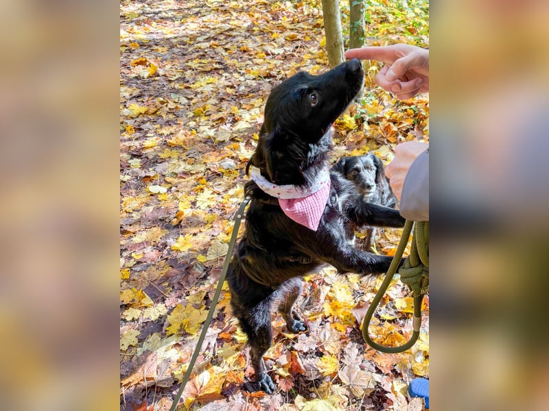 Lebensfrohe DAYA wartet in Erlangen auf DICH