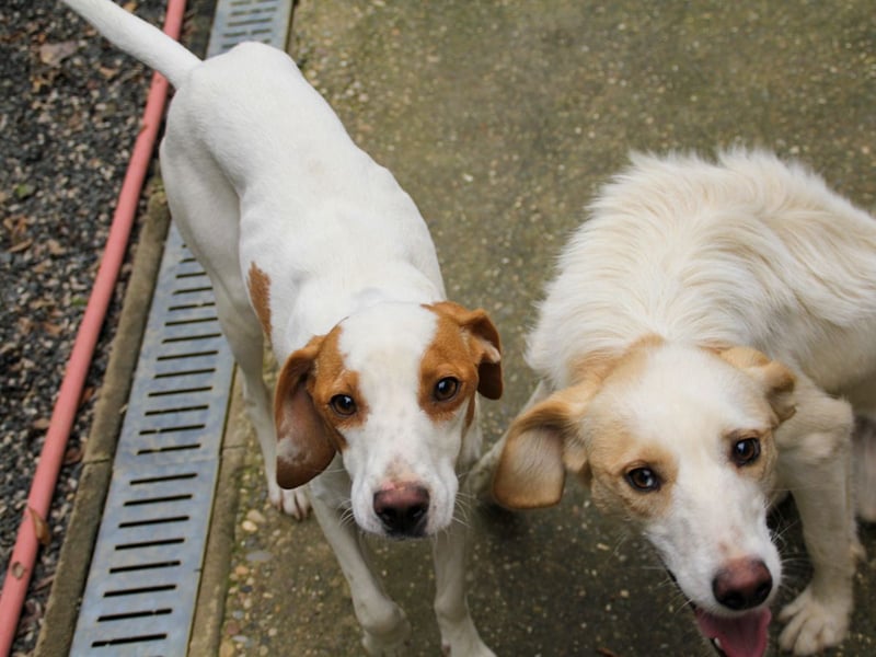 TAKITA lebensfroh, freundlich, für jeden Spaß zu haben