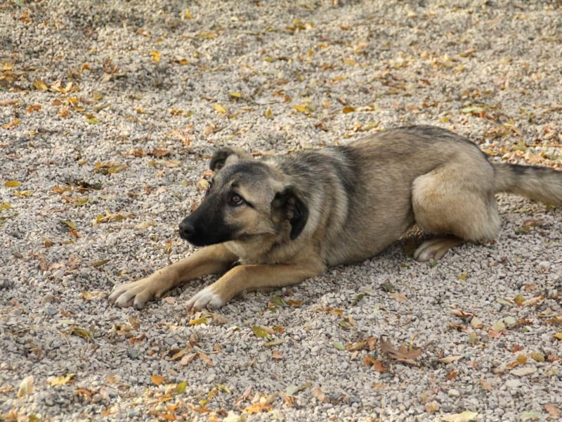 Lebensfrohe JOSEPHINE bezaubert durch ihre fröhliche und liebe Art