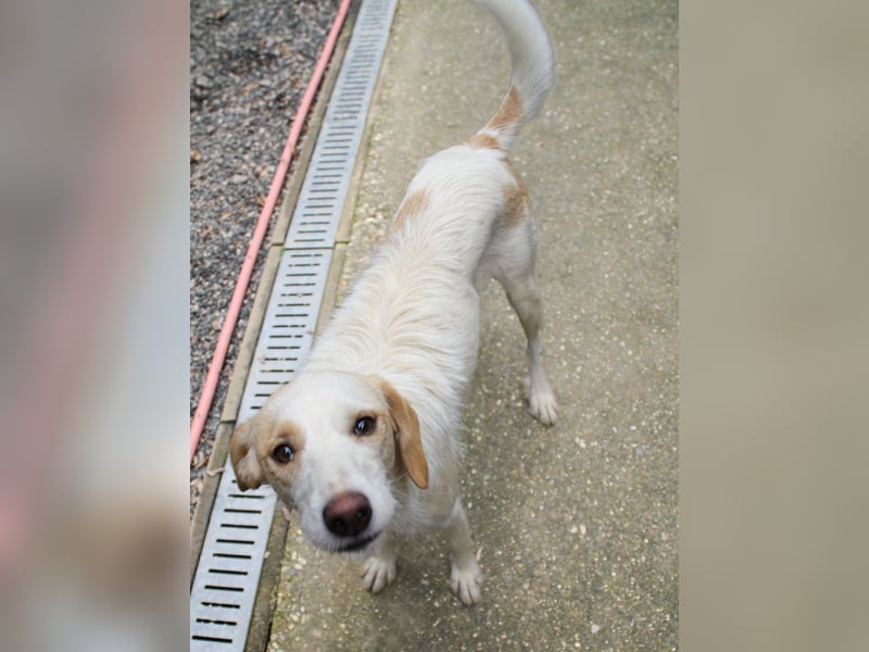 Lebensfrohe LIMA bezaubert durch ihre fröhliche und liebe Art