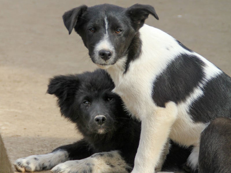 Charmante CHANTAL ist noch etwas zurückhaltend