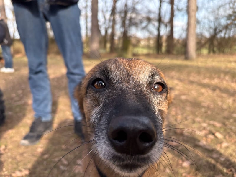 NISHA bezaubernd, liebesbedürftig, wundervoll such nach DIR