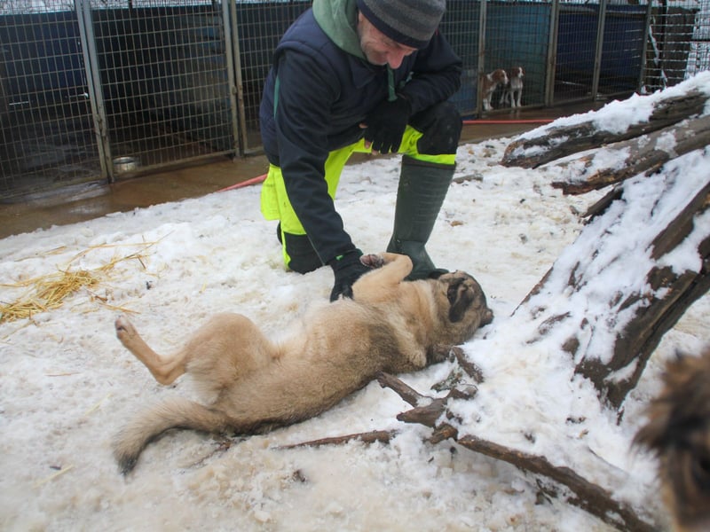 Lebensfrohe JOSEPHINE bezaubert durch ihre fröhliche und liebe Art