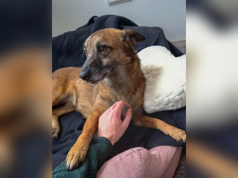 NISHA bezaubernd, liebesbedürftig, wundervoll such nach DIR