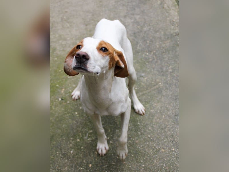 TAKITA lebensfroh, freundlich, für jeden Spaß zu haben