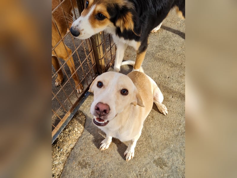 Bezaubernde MAGDALENA wäre gerne ein geliebtes Familienmitglied