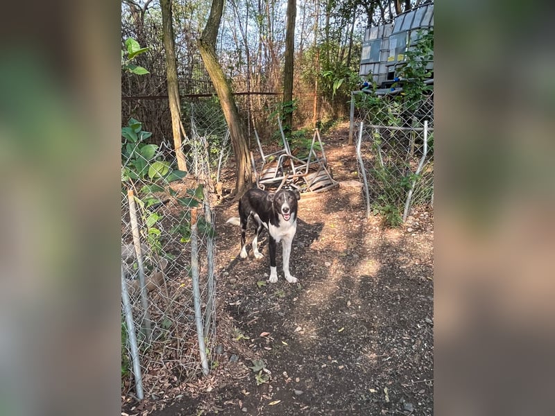 Charmante CHANTAL ist noch etwas zurückhaltend