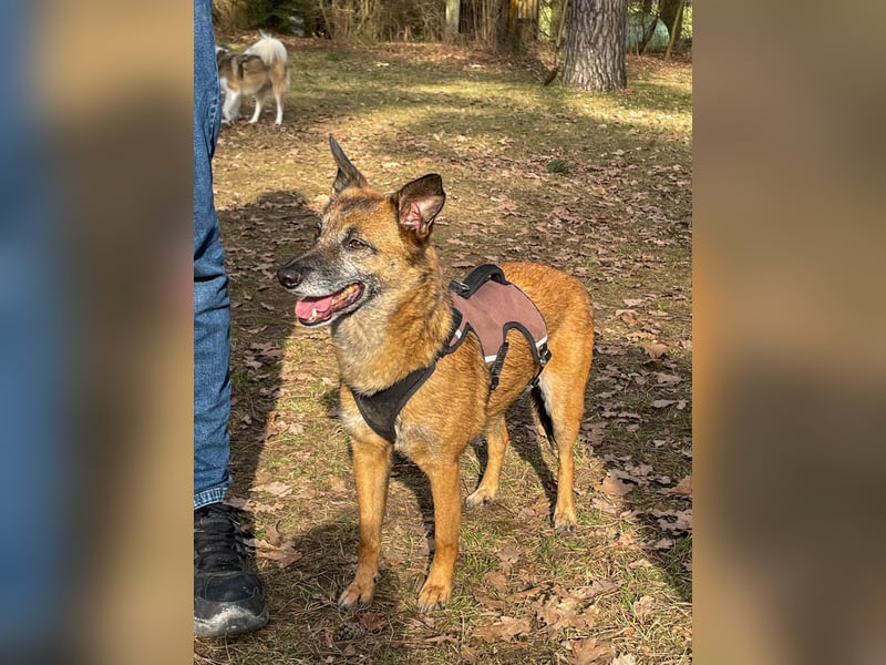 bezaubernde NISHA wartet bereits in Erlangen auf DICH