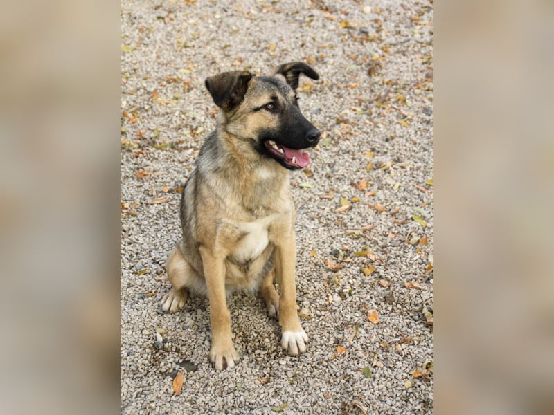 Lebensfrohe JOSEPHINE bezaubert durch ihre fröhliche und liebe Art