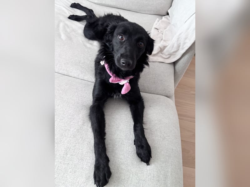 Lebensfrohe DAYA wartet in Erlangen auf DICH