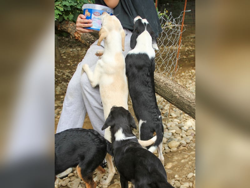 TIAGO - will Dich verzaubern TIAGO - will Dich verzaubern