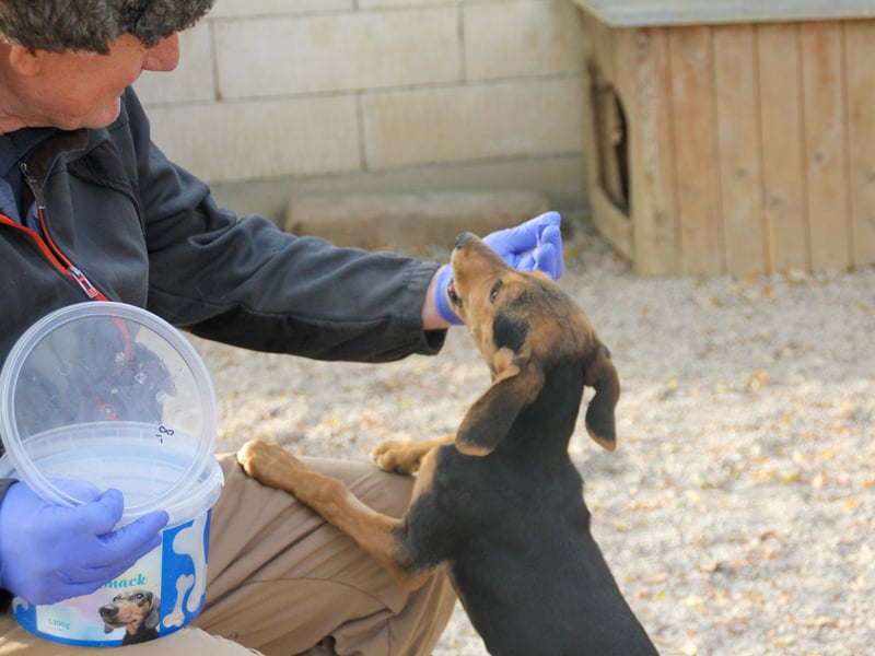 Zuckersüße FUTURE hofft, dass ihr die Zukunft bald ein tolles Zuhause bringt
