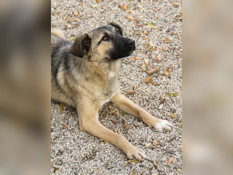 Lebensfrohe JOSEPHINE bezaubert durch ihre fröhliche und liebe Art