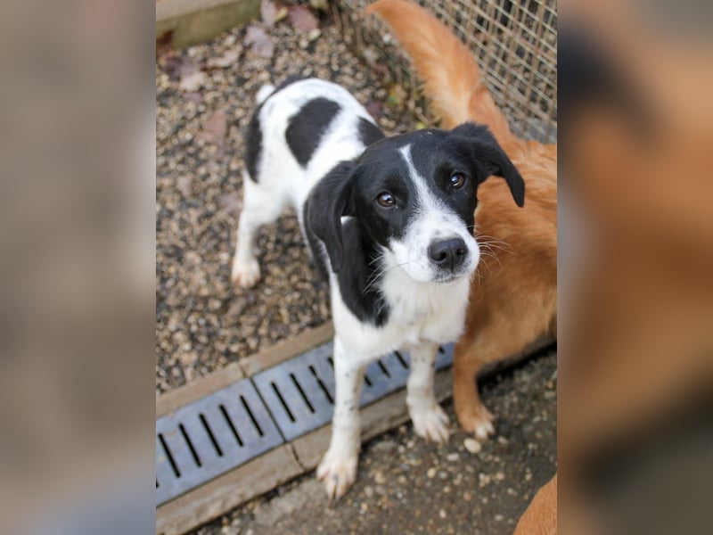 Fröhlicher Traumprinz ILIAS möchte dich verzaubern