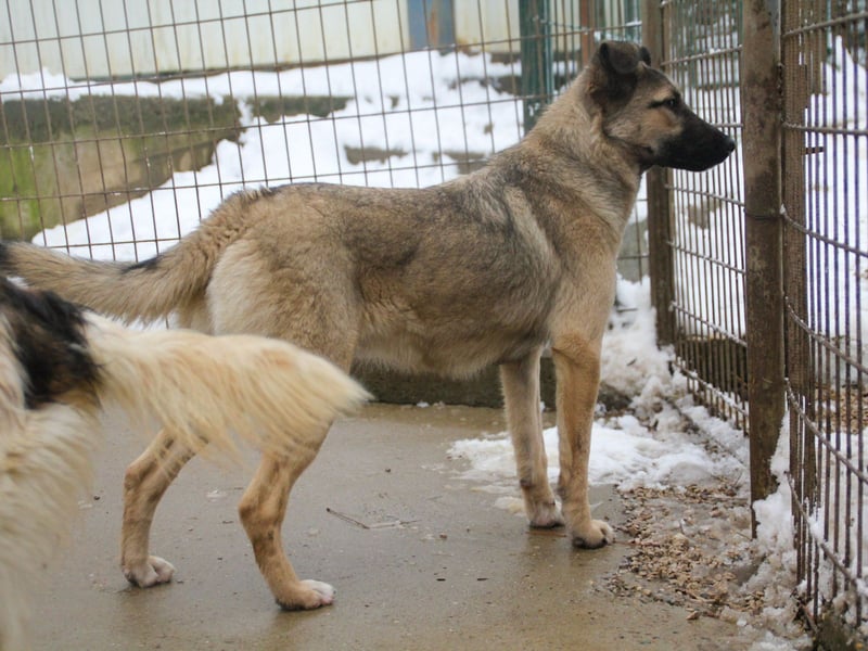Lebensfrohe JOSEPHINE bezaubert durch ihre fröhliche und liebe Art