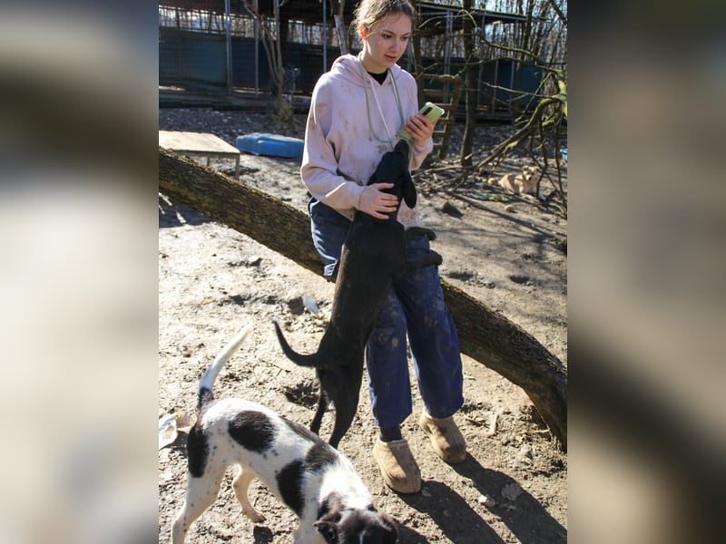 Kuscheln und Spielen im eigenen Zuhause, davon träumt die liebe IRMA