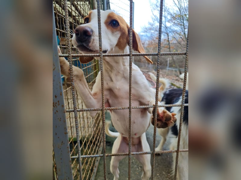 TAKITA lebensfroh, freundlich, für jeden Spaß zu haben