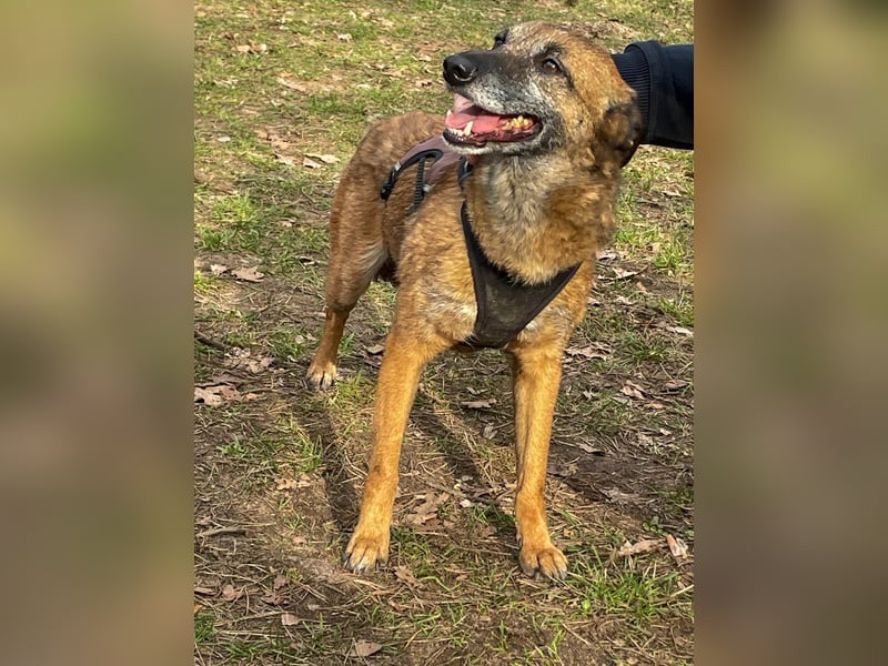 bezaubernde NISHA wartet bereits in Erlangen auf DICH