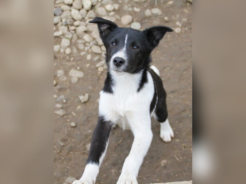 Charmante CHANTAL ist noch etwas zurückhaltend