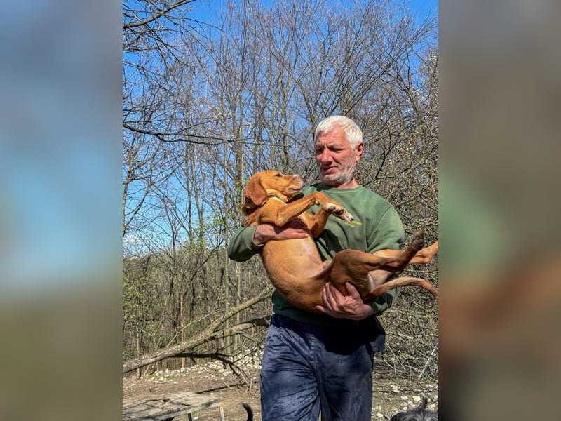 Freundlicher BARK möchte dich um seine hübschen Pfoten wickeln