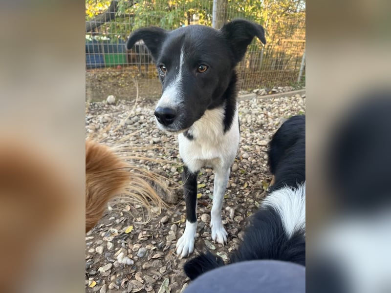 Charmante CHANTAL ist noch etwas zurückhaltend