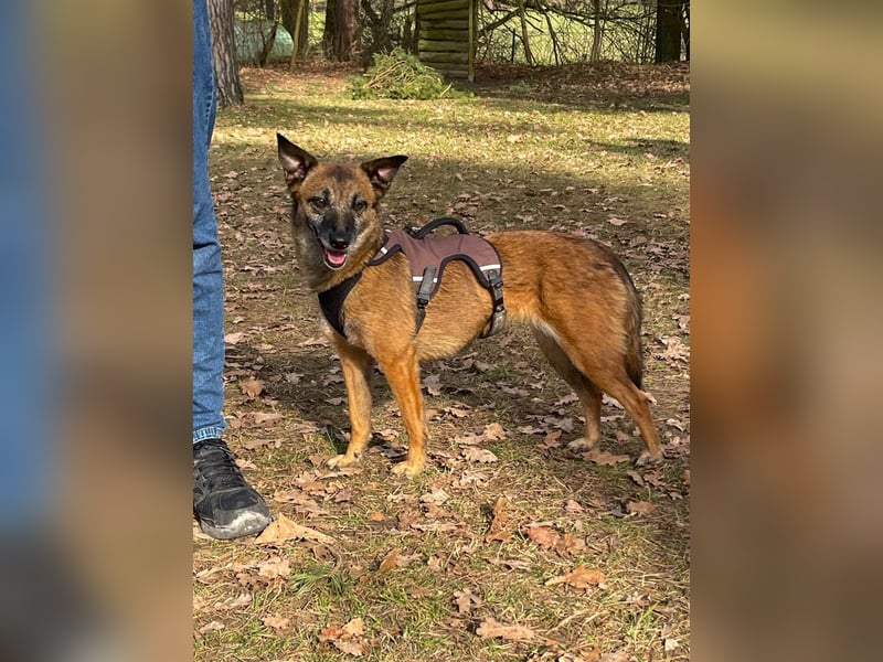 NISHA bezaubernd, liebesbedürftig, wundervoll such nach DIR