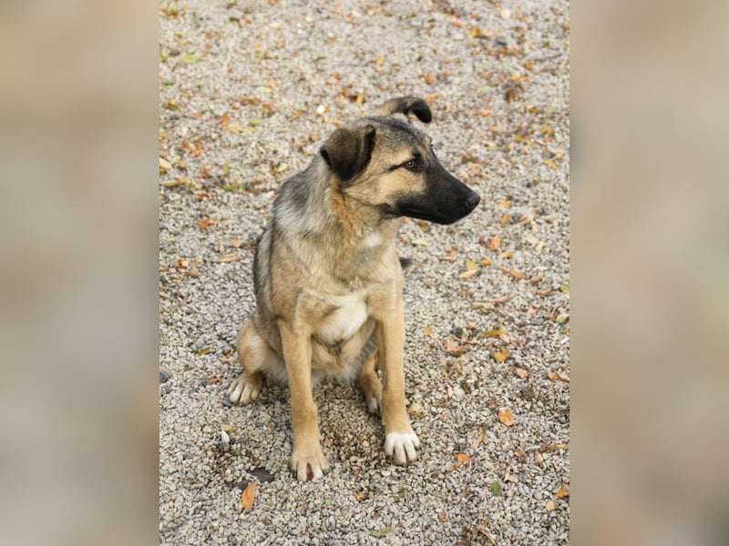 Lebensfrohe JOSEPHINE bezaubert durch ihre fröhliche und liebe Art