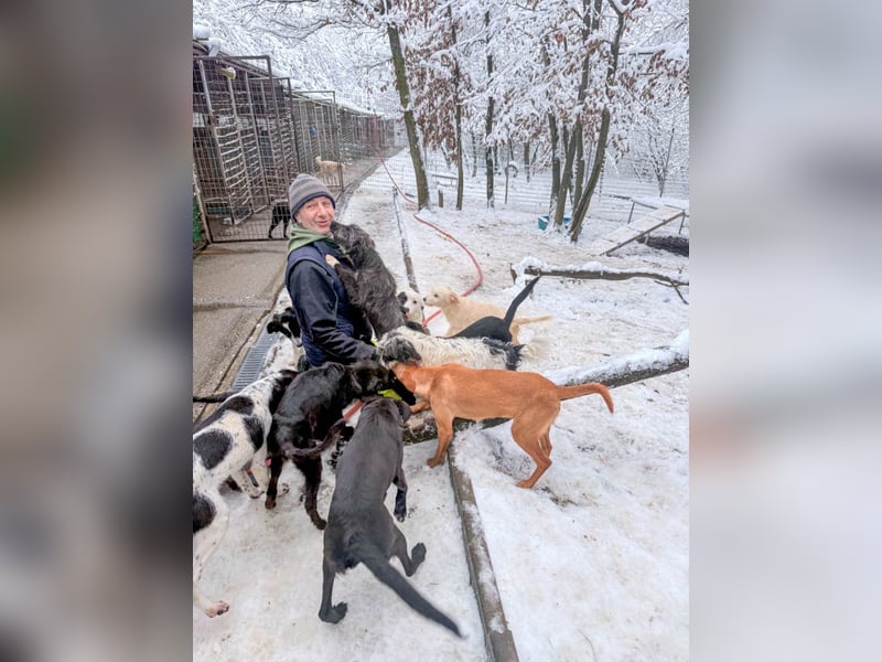 Süße MIRA ist ein Traum auf vier Pfoten