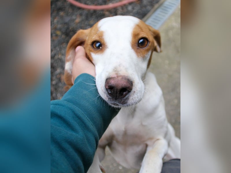 TAKITA will endlich Abenteuer mit ihren ganz eigenen Menschen erleben. Vierlleicht mit dir?