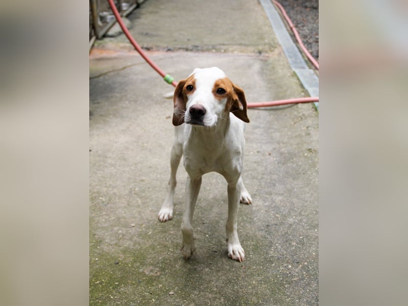 TAKITA lebensfroh, freundlich, für jeden Spaß zu haben