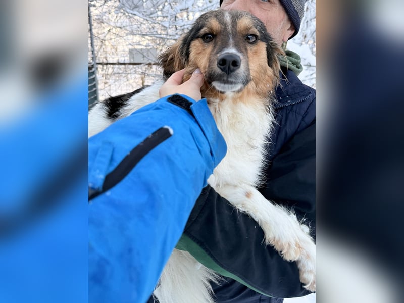 Herzensmensch gesucht - liebe JUILIANA hofft auf ihr Glück