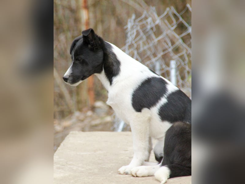 Charmante CHANTAL ist noch etwas zurückhaltend