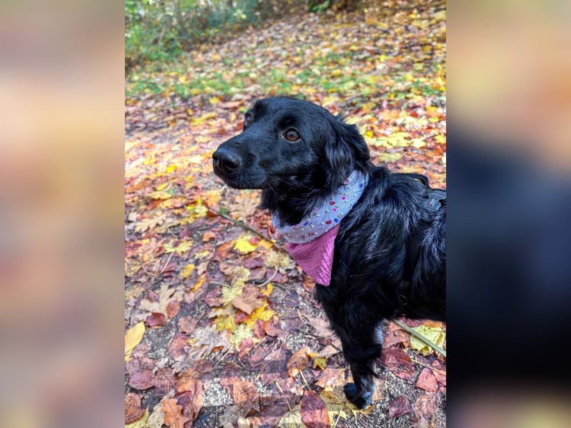 Lebensfrohe DAYA wartet in Erlangen auf DICH