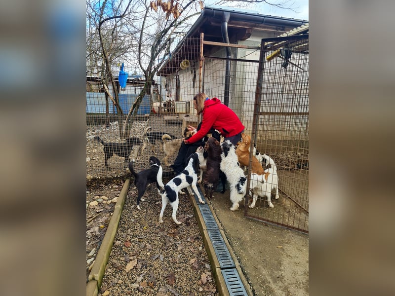 Fröhlicher Traumprinz ILIAS möchte dich verzaubern