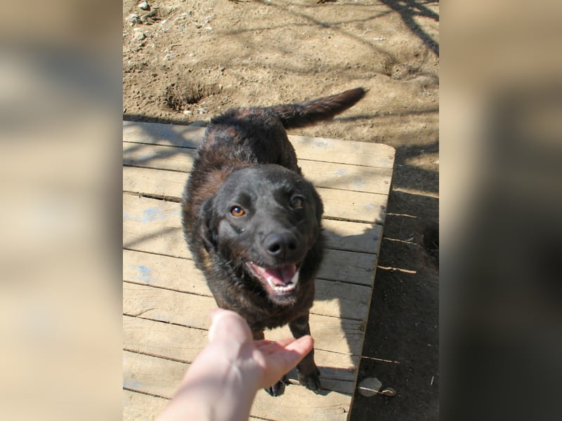 Schnuckelchen NINOO träumt von einem liebevollen Zuhause