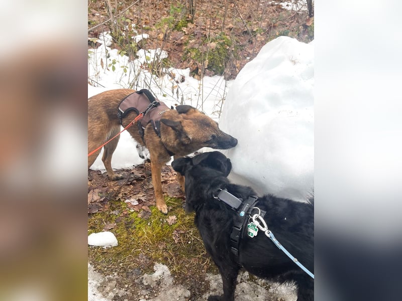 NISHA bezaubernd, liebesbedürftig, wundervoll such nach DIR