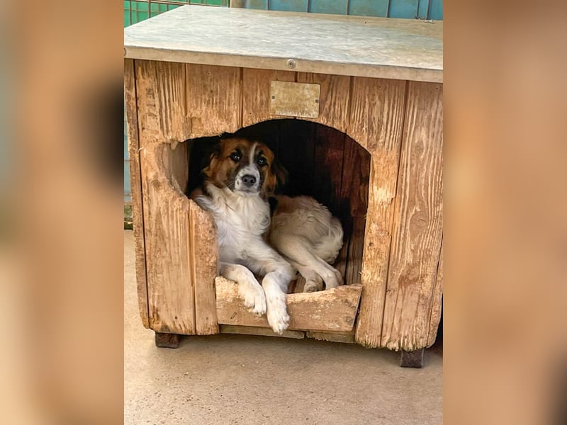 WILHELM, lebensfroher Weltentdecker WILHELM, lebensfroher Weltentdecker