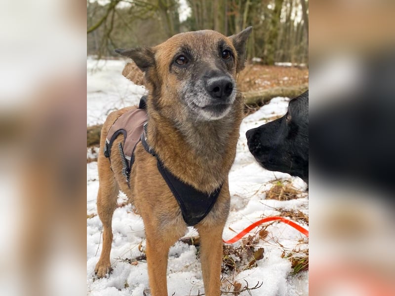 NISHA bezaubernd, liebesbedürftig, wundervoll such nach DIR