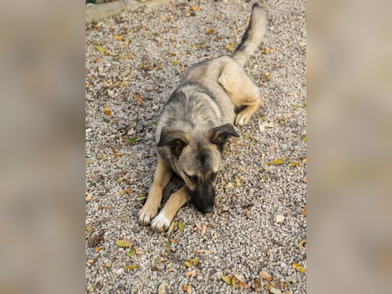 Lebensfrohe JOSEPHINE bezaubert durch ihre fröhliche und liebe Art