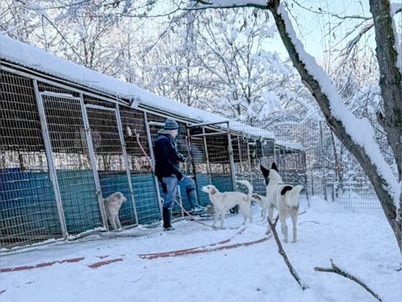 Lebensfrohe LIMA bezaubert durch ihre fröhliche und liebe Art
