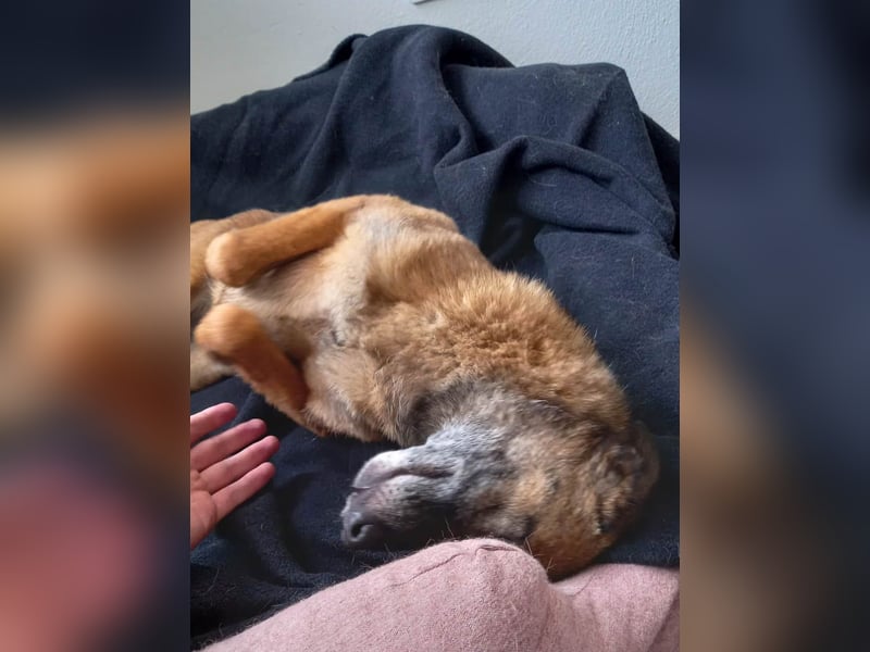 NISHA bezaubernd, liebesbedürftig, wundervoll such nach DIR