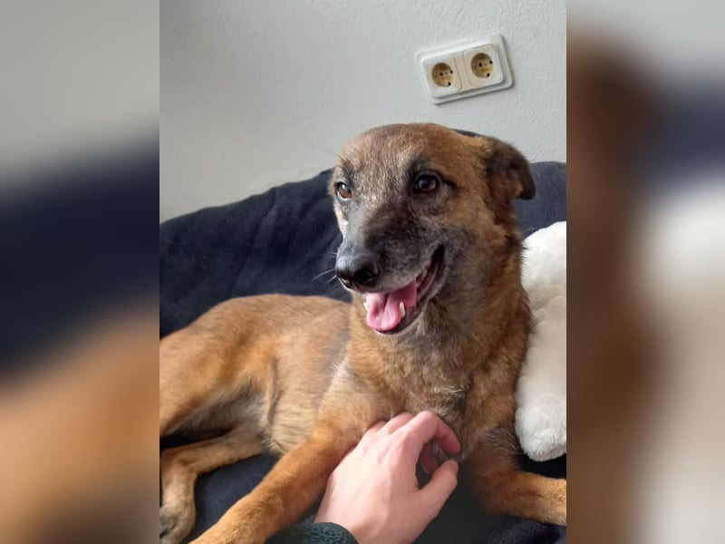 NISHA bezaubernd, liebesbedürftig, wundervoll such nach DIR