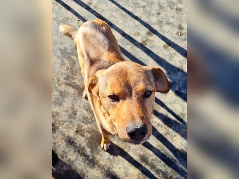 SVEN, liebenswerter Rentner sucht seinen Herzensmensch SVEN, liebenswerter Rentner sucht seinen Herzensmensch