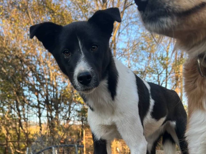 Charmante CHANTAL ist noch etwas zurückhaltend