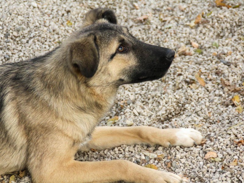 Lebensfrohe JOSEPHINE bezaubert durch ihre fröhliche und liebe Art
