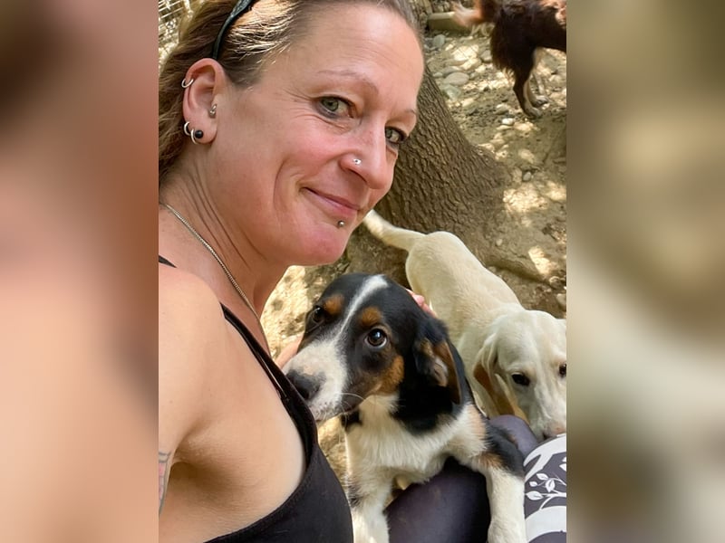 Verspielte, freundiche und verschmuste LOARA sucht ihr liebevolles Zuhause